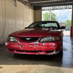 Meet your Posher, Randall